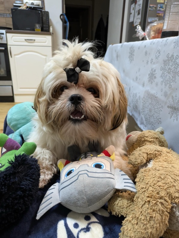 Plyšákový kleptoman s dobrým&nbsp;srdcom